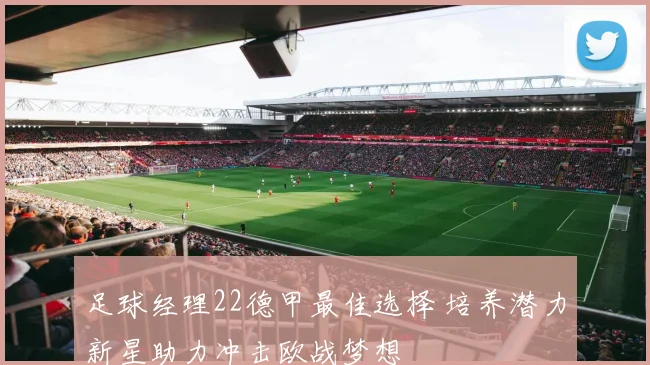 足球经理22德甲最佳选择 培养潜力新星助力冲击欧战梦想