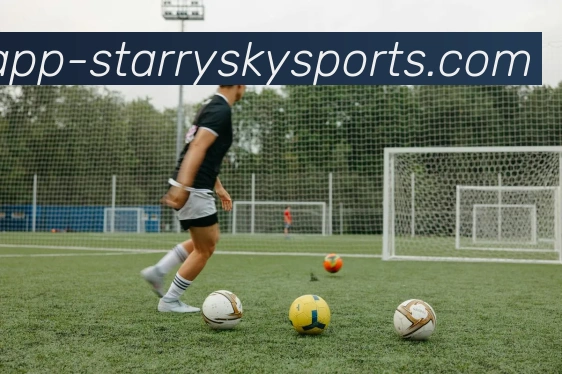 星空体育发展历程