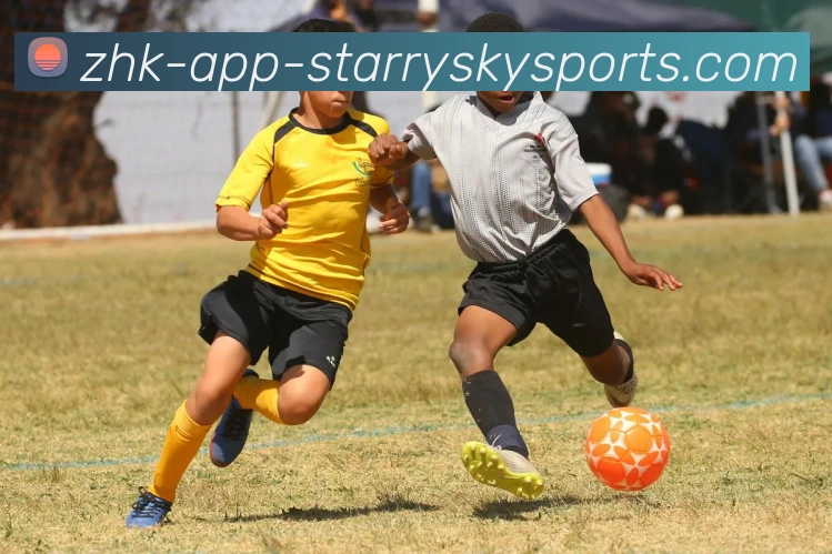 NBA国王队球员名单：盘点NBA国王队本赛季的球员阵容与变化